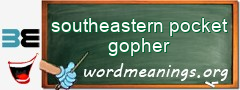 WordMeaning blackboard for southeastern pocket gopher